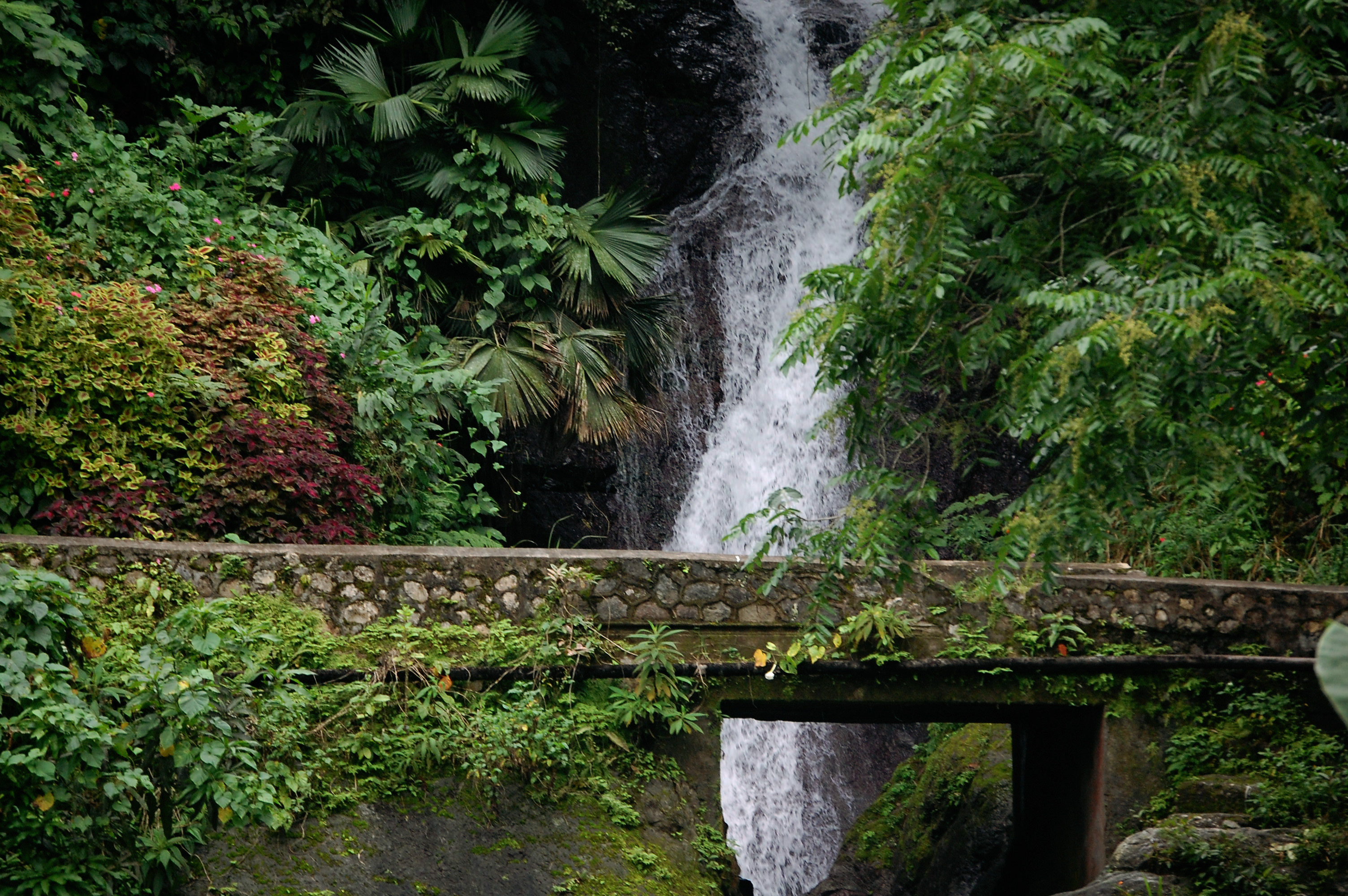 Blue Mountain Jamaica