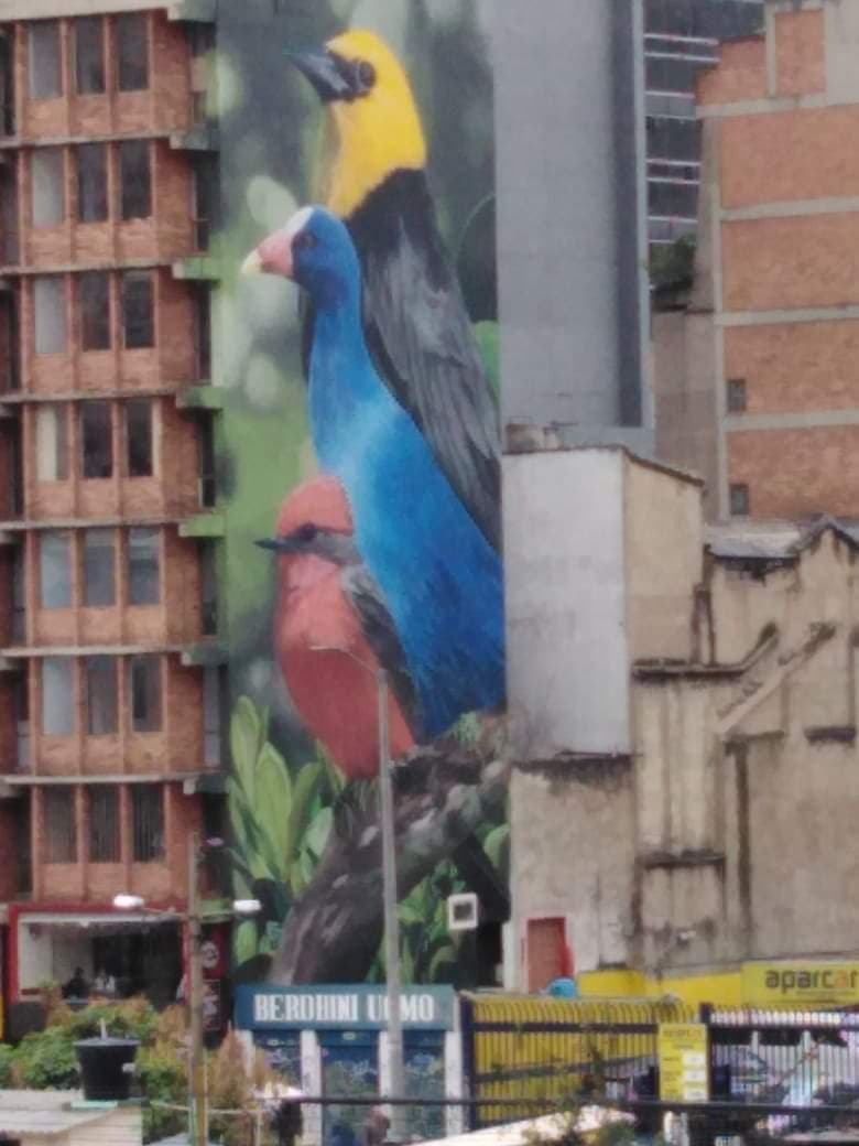 Meditation & Street Art