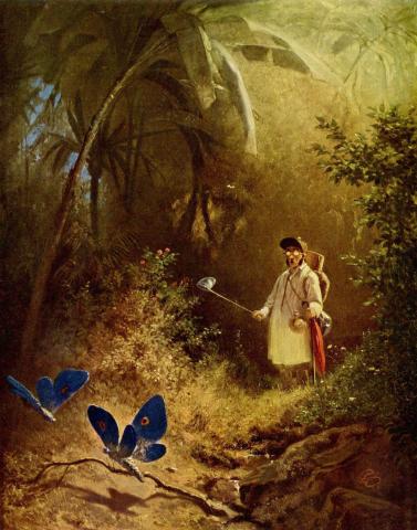Painting titled "The Butterfly Hunter". Photo by Carl Spitzweg.